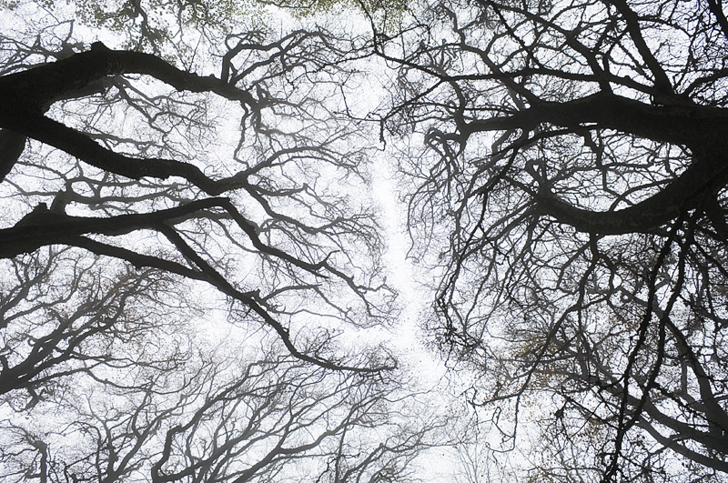 landscape photography is wonderful