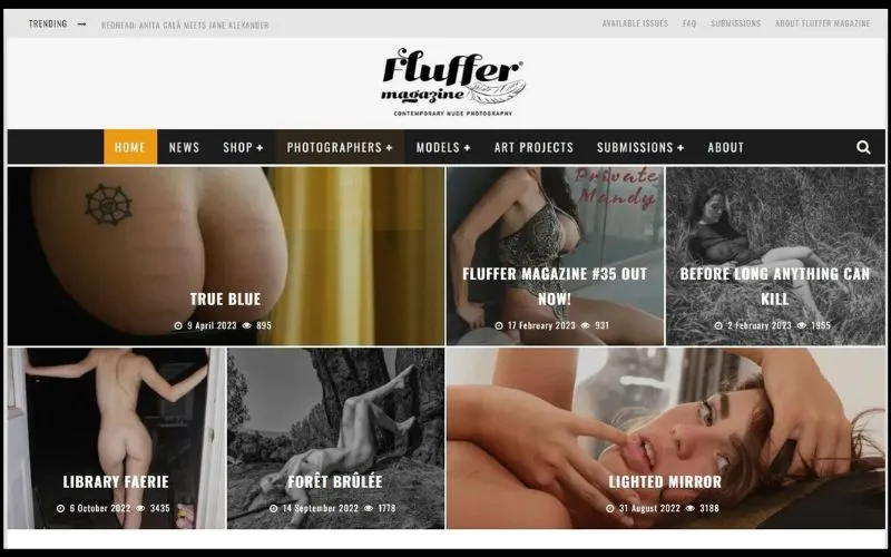 nude magazine