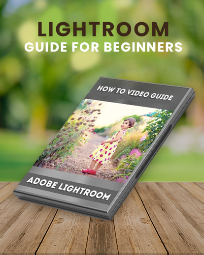 Lightroom guide