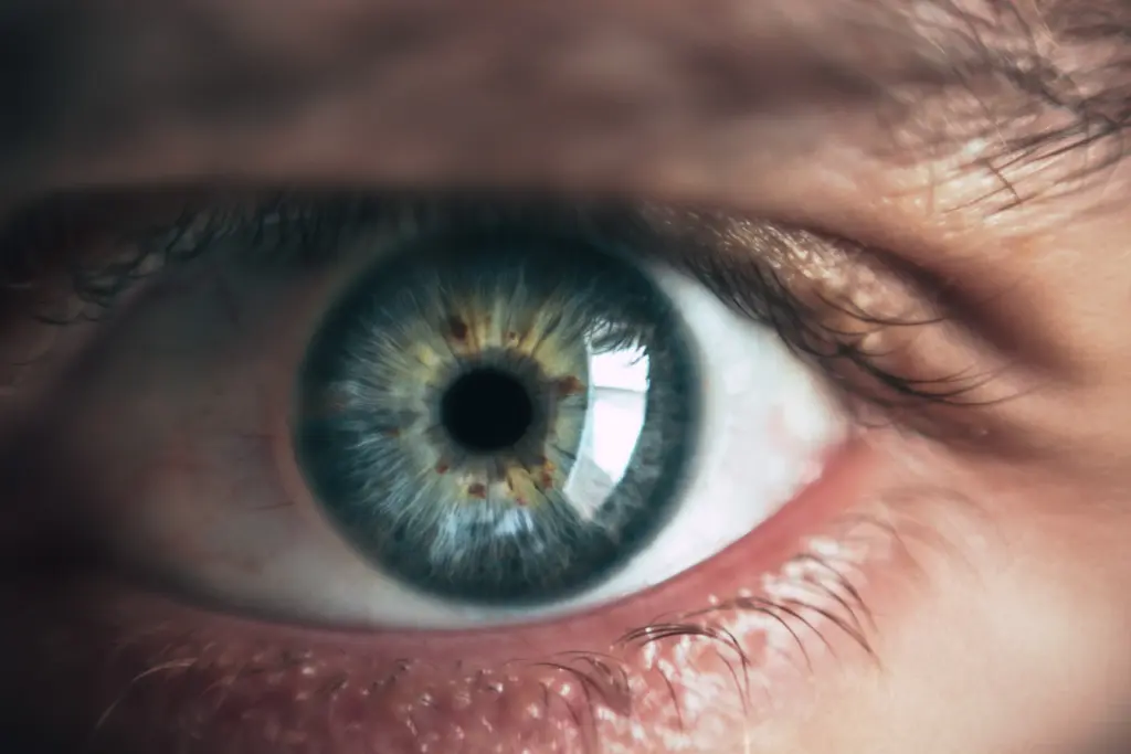 A closeup picture of eye