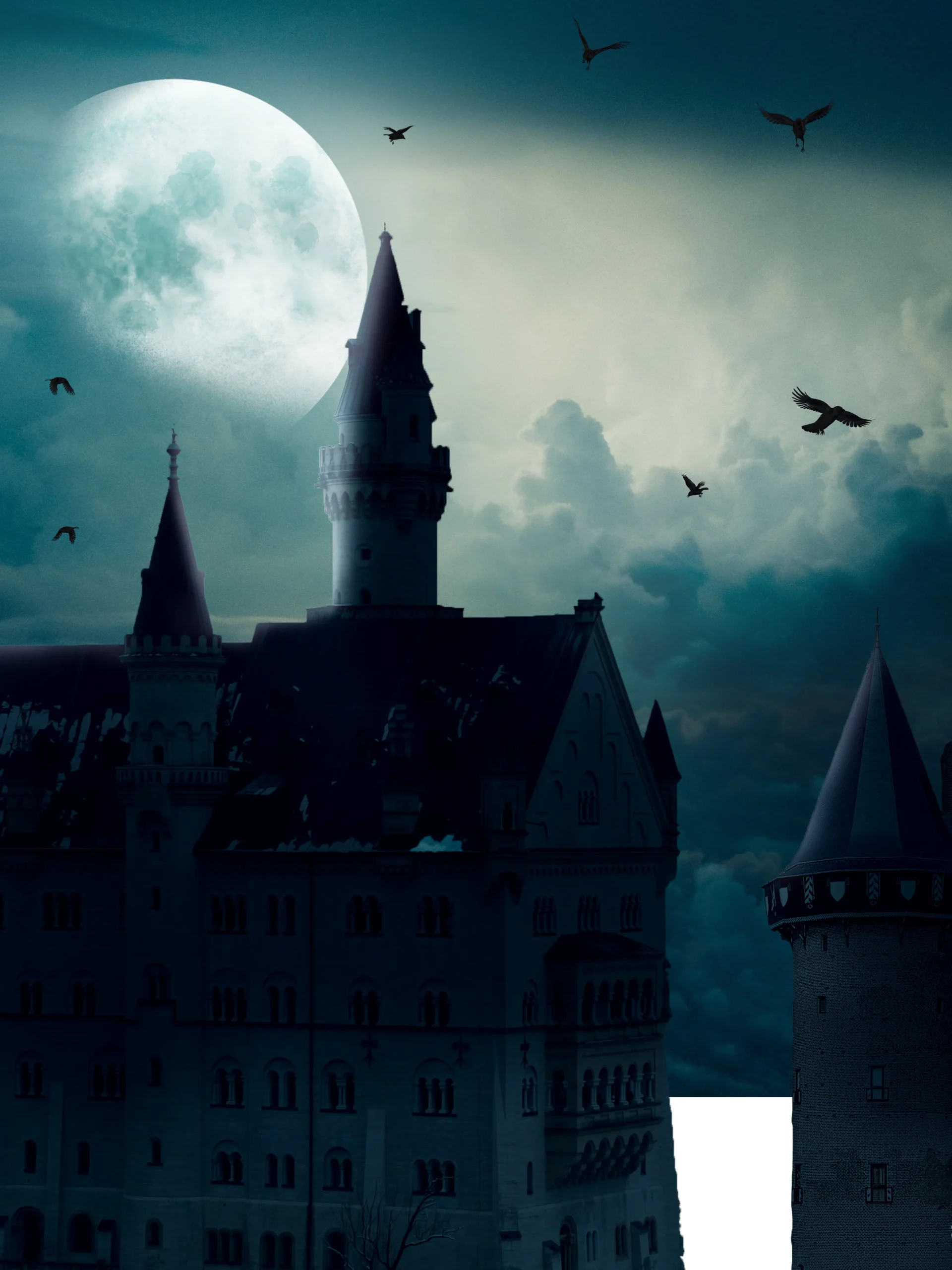 image manipulation tutorial