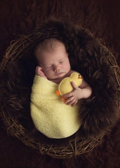 baby in a bird nest, Easter newborn photo shoot, Easter baby photography, Easter-themed newborn photos, Easter newborn props, Easter bunny baby photos