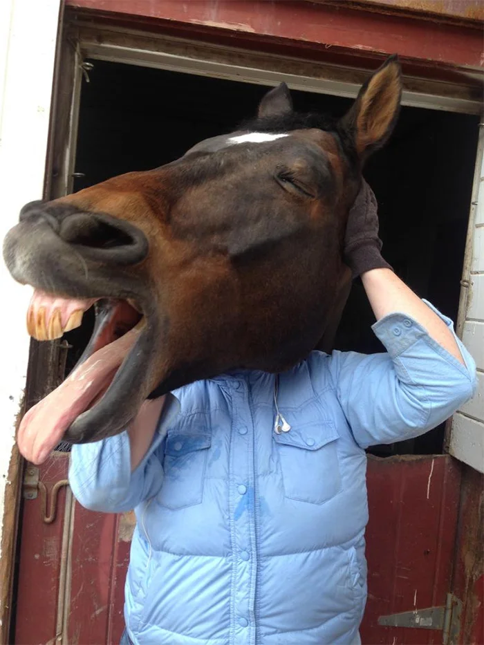 perfectly timed animal photos
