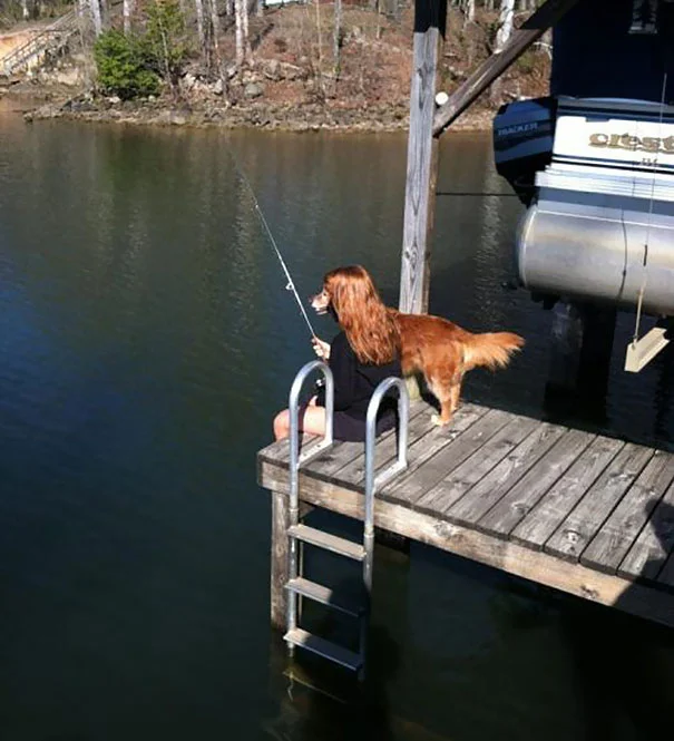 perfectly timed animal photos
