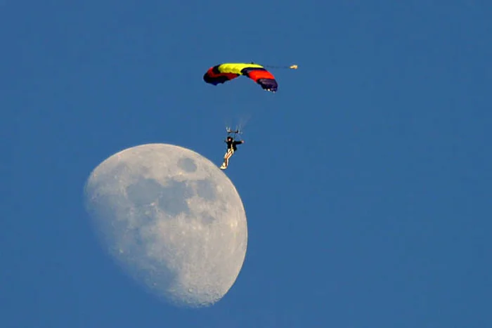 perfectly timed pictures