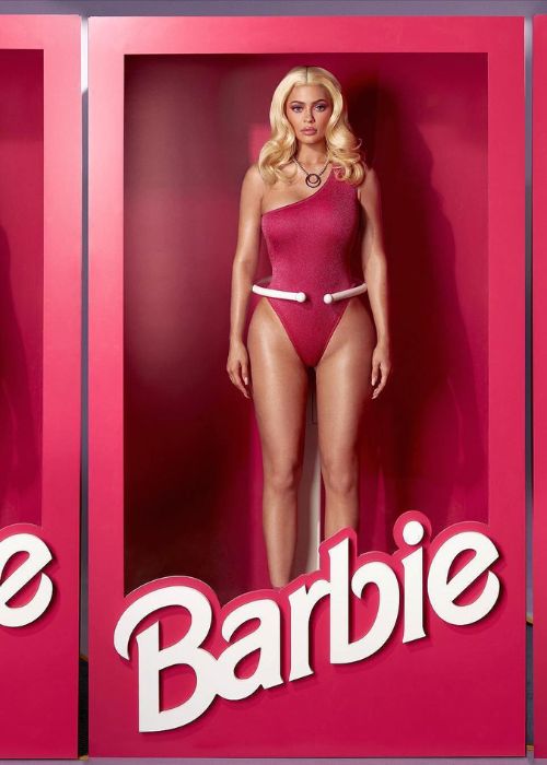 Barbie Box Photoshoot Ideas
