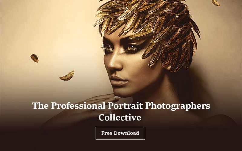 freebie banner