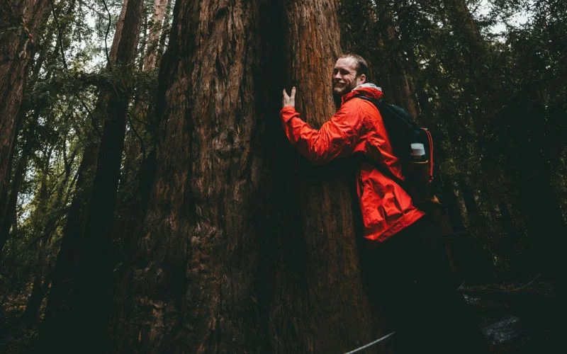 tree hugging pose