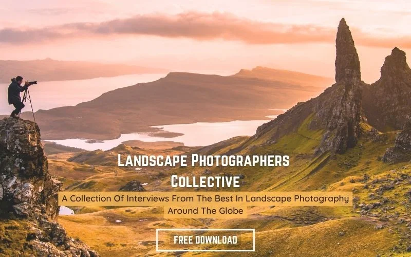 freebie banner