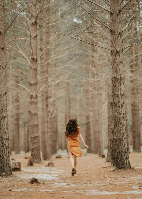 capture wild shots in the forest