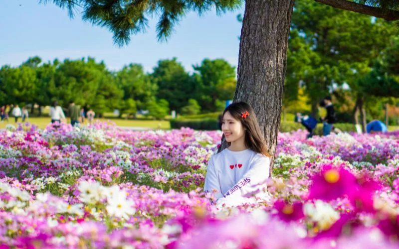 surround yourself with flowers