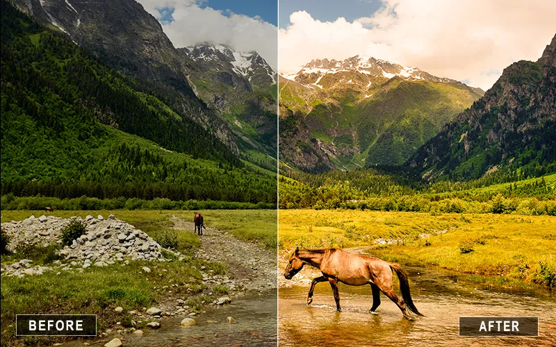 daylight landscape camera raw presets, floral landscape camera raw presets,