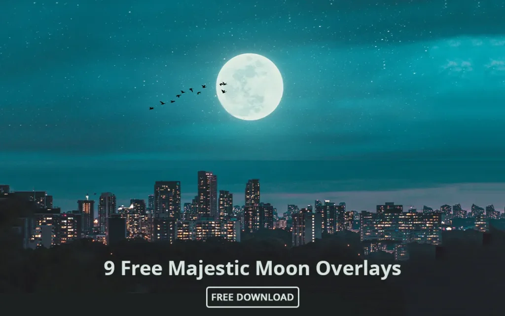 freebie banner