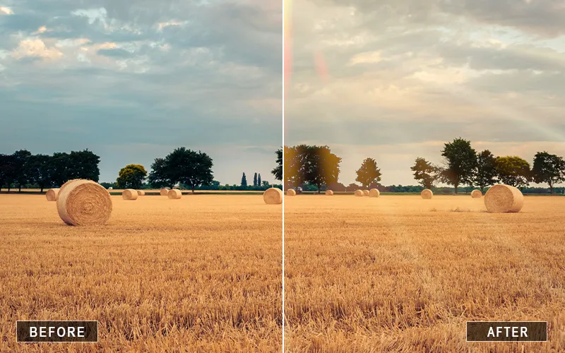 Summer Sunlight Overlays