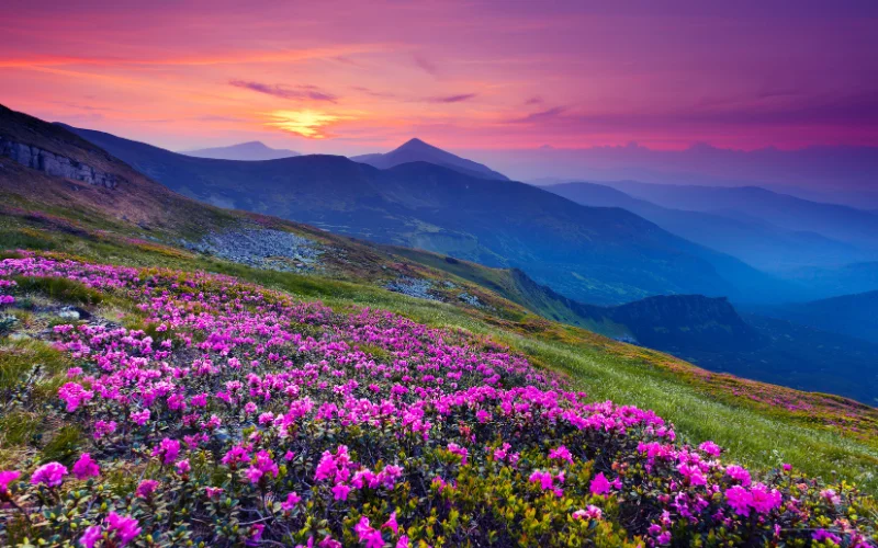 Landscape photo